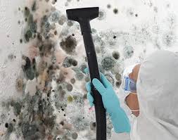 Trusted Damascus, OR Mold Removal Experts